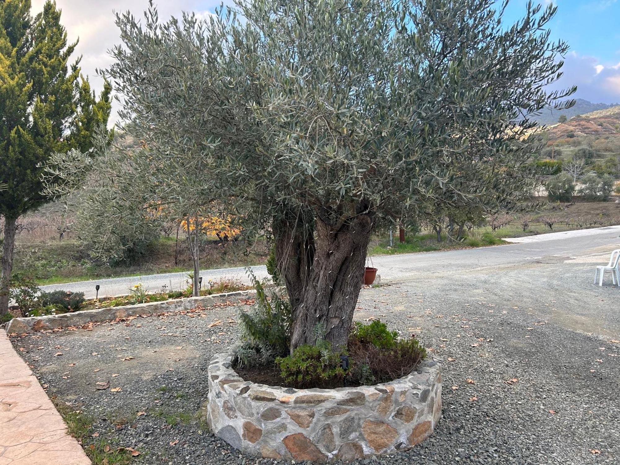 Sofros Valley Hills Chalet Agios Mamas ภายนอก รูปภาพ