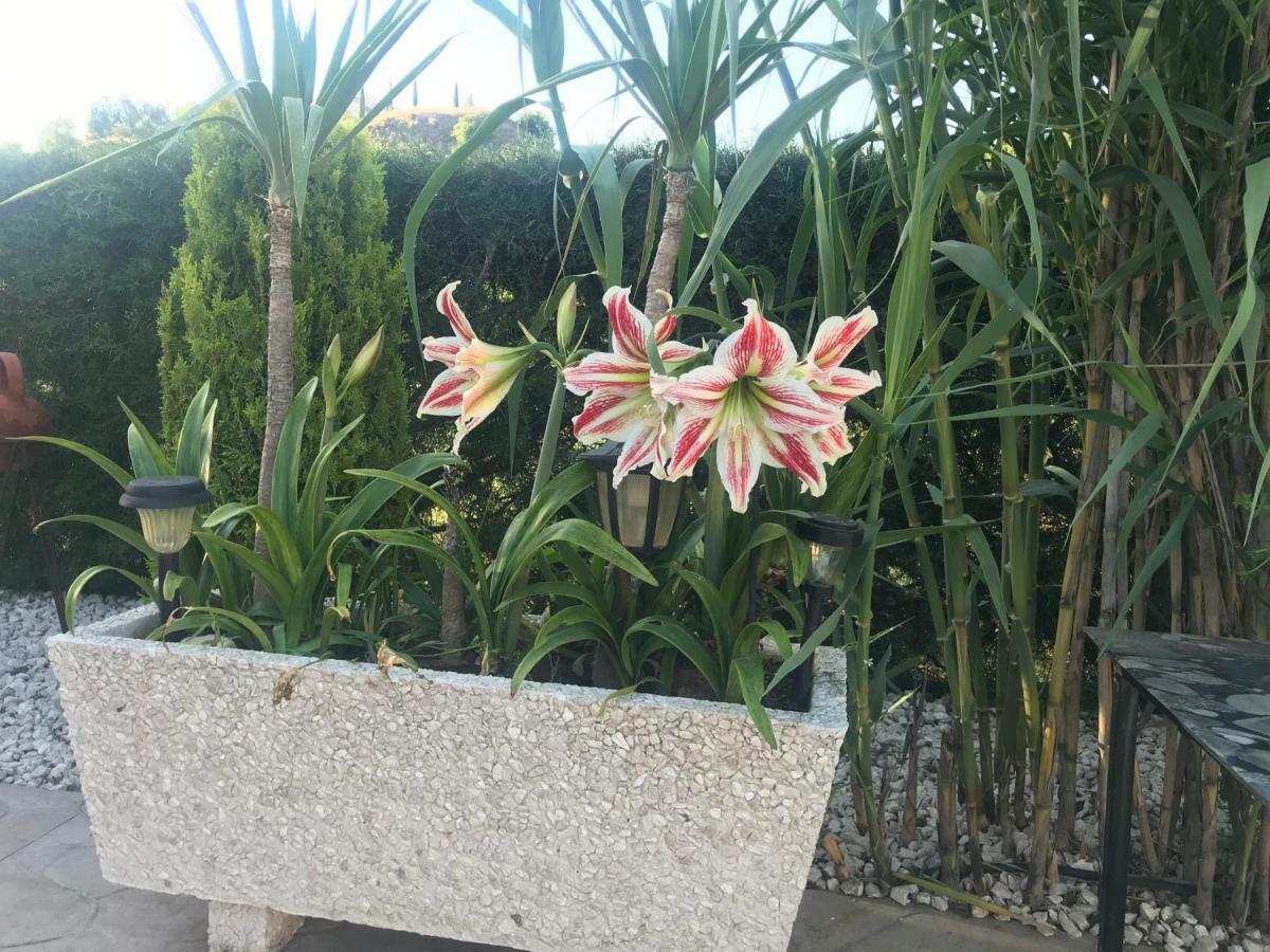 Sofros Valley Hills Chalet Agios Mamas ภายนอก รูปภาพ